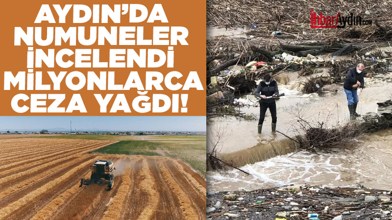 Aydın İl Tarım ve Orman Müdürlüğü, 2025 yılı boyunca sürdürülebilir
