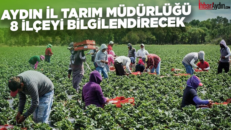 Aydın İl Tarım ve Orman Müdürlüğü, üreticilerin doğal afetler ve