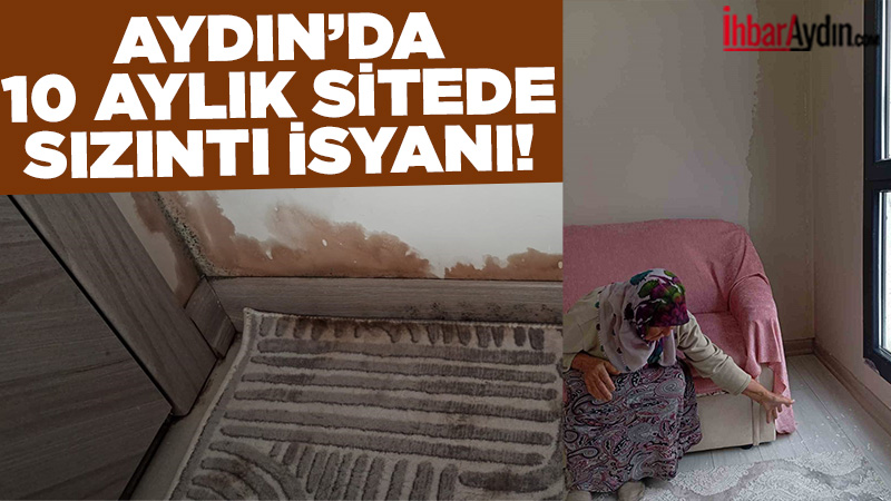 Aydın’ın Bozdoğan ilçesine bağlı Hisar Mahallesi’nde 2025 yılının Mart ayında