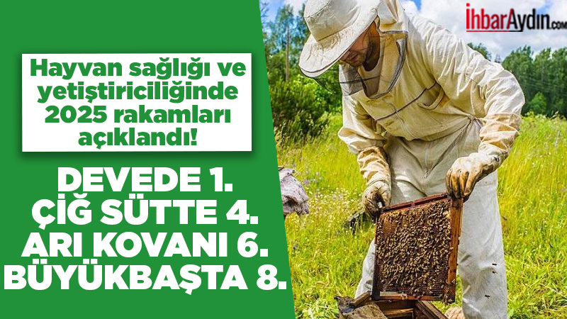 Aydın İl Tarım ve Orman Müdürlüğü, 2025 yılı hayvancılık verilerini