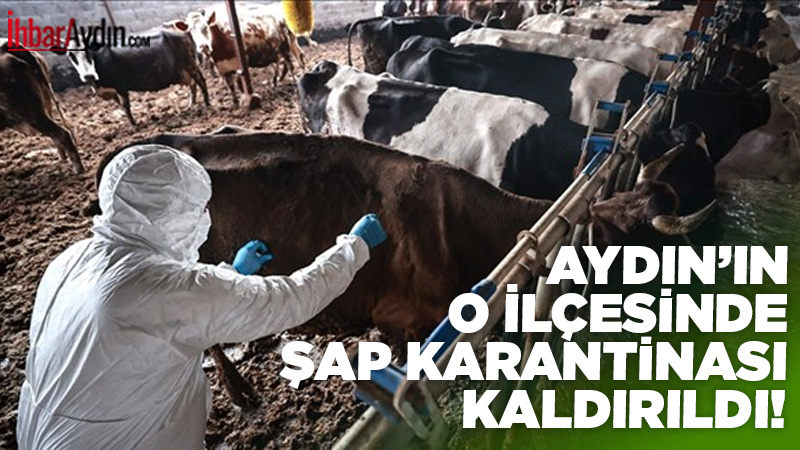 Aydın’ın İncirliova ilçesinde şap hastalığı nedeniyle bir süredir uygulanan kordon
