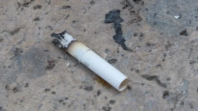 California’da 1982 yılında öldürülen 13 yaşındaki Sarah Geer cinayeti, 44