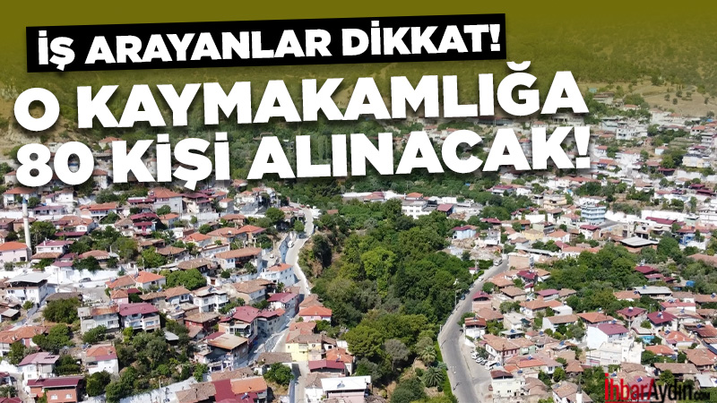 Bozdoğan Kaymakamlığı, Türkiye İş Kurumu (İŞKUR) iş birliğiyle yürütülecek İşgücü