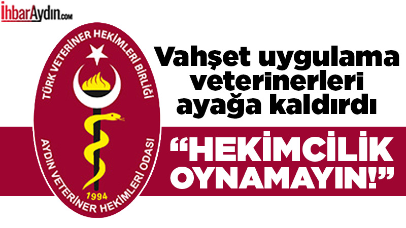 Aydın’ın Karpuzlu ilçesinde, doğum yapamayan bir ineğe veteriner hekim gözetimi