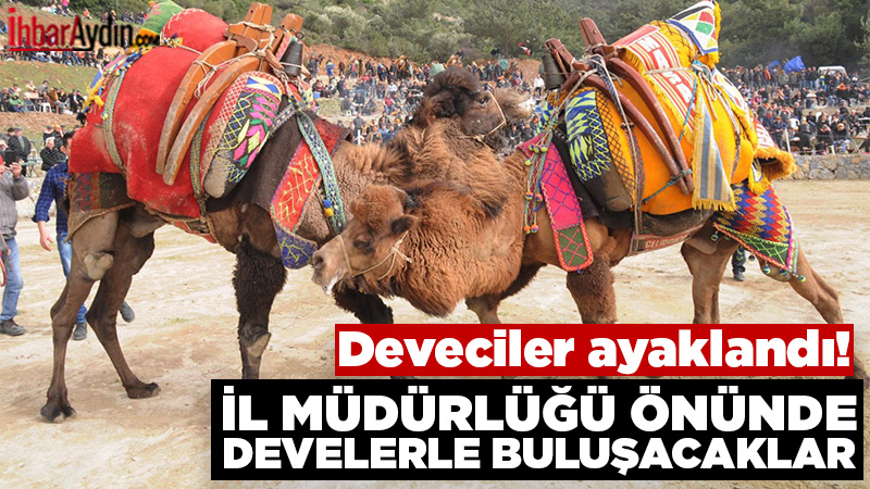 Devecilik Kültürü ve Deve Güreşleri Federasyonu (DEGÜF) Başkanı Akkın Pazarlıoğlu,