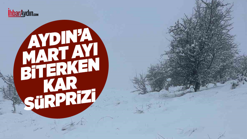 Aydın’ın Bozdoğan ilçesinde etkili olan soğuk hava dalgası, Karıncalı Dağı’nda