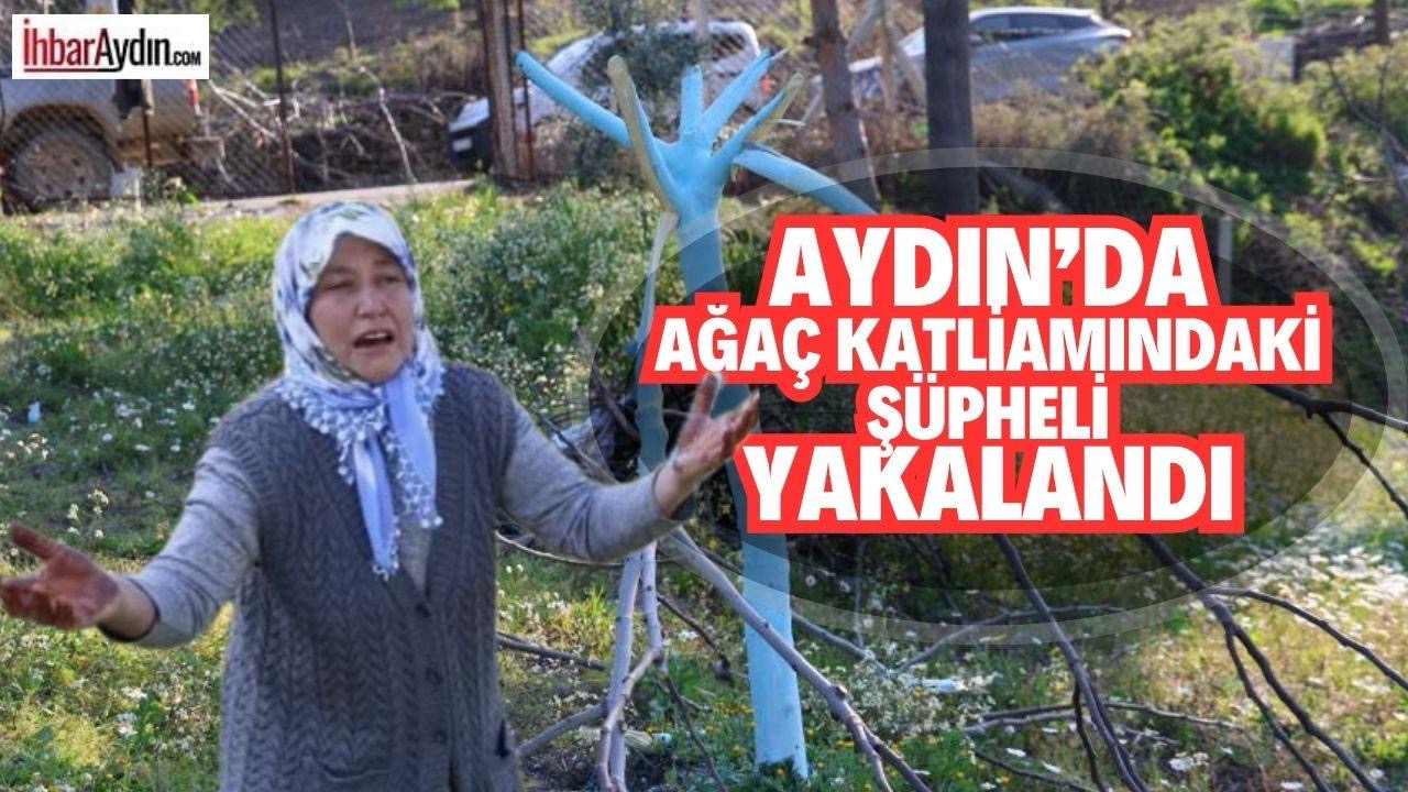 Aydın’ın Koçarlı ilçesinde yüzlerce dönümlük incir ve zeytin bahçesinin yok
