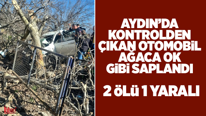 Aydın’ın Bozdoğan ilçesinde, kontrolden çıkan bir otomobilin yol kenarındaki ağaçlara