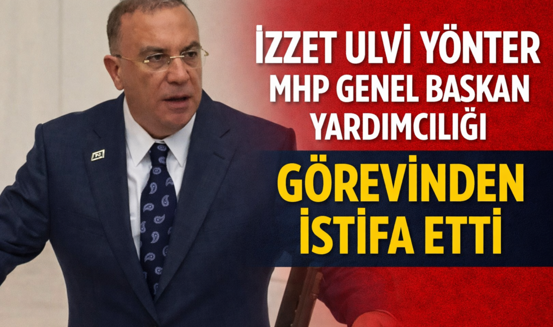 İzzet Ulvi Yönter, Milliyetçi Hareket Partisi (MHP) Genel Başkan Yardımcılığı
