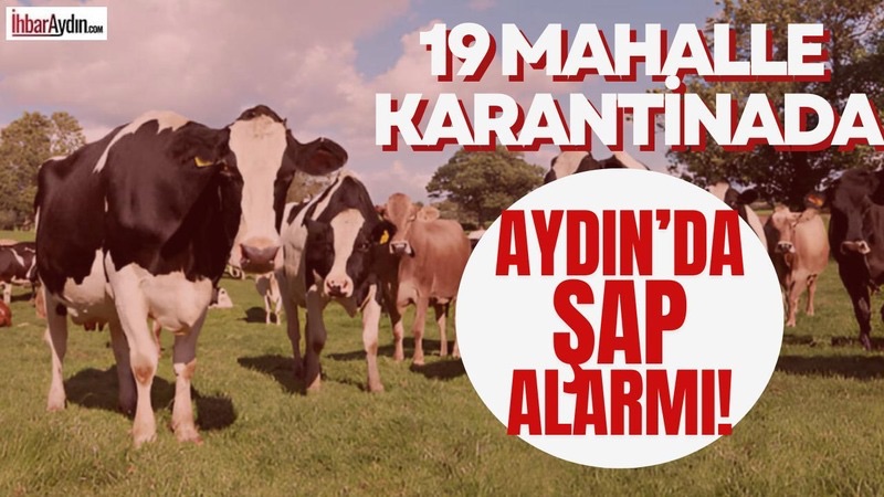 Aydın’da bir süre önce kaldırılan şap hastalığına yönelik tedbirler, Germencik