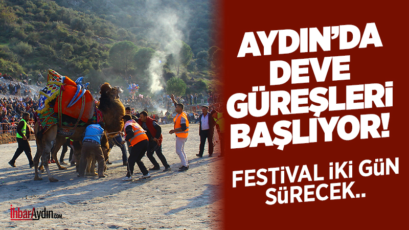 Aydın’da şap hastalığı nedeniyle yapılması ertelenen Deve Güreşlerinin ilki İncirliova