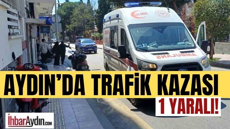 Aydın’ın Efeler ilçesinde seyir halindeyken karşıya geçmek isteyen bir başka