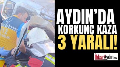 Aydın’ın Germencik ilçesinde takla atan ve yol kenarına savrulan ticari