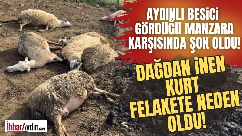 Aydın’ın Hallaçlar köyünde sabaha karşı korku dolu anlar yaşandı. Saat