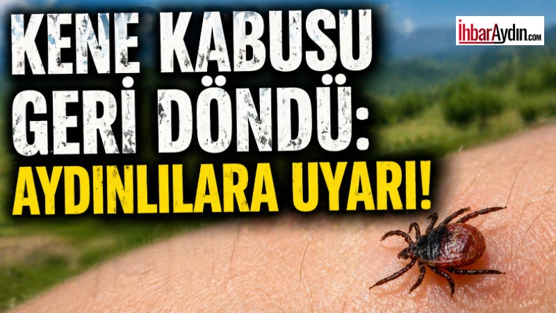 Havaların ısınmasıyla birlikte kene vakalarında artış yaşanırken, uzmanlar Kırım Kongo