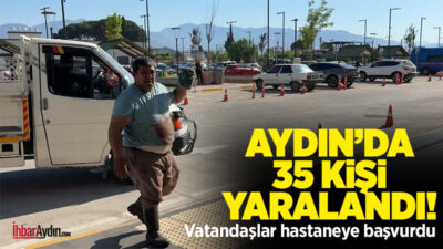 Kurban Bayramı’nda Aydın’da yaralanan 35 kişi hastanelere başvurdu, hepsi taburcu