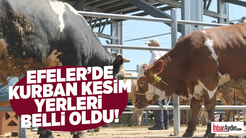 Efeler Belediyesi kurban satış ve kesim alanlarını duyurdu. Kentin düzenini
