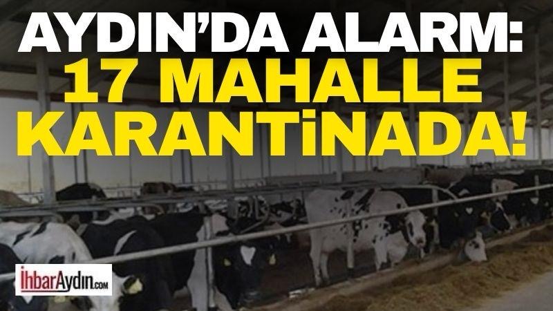 Aydın’ın Yenipazar ilçesinde ortaya çıkan şap hastalığı paniğe neden oldu.