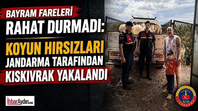 Aydın’ın Didim ilçesinde Kurban Bayramı öncesi çalınan 13 küçükbaş hayvan,