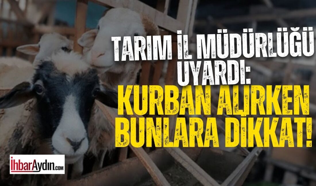 Tarım İl Müdürlüğü uyardı: Kurban alırken bunlara dikkat! Aydın İl Tarım ve Orman Müdürlüğü, Kurban Bayramı öncesinde vatandaşları