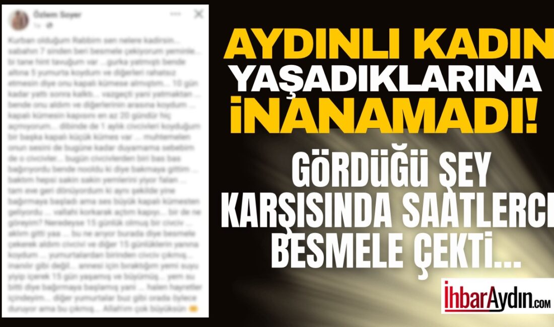 Aydın’da yaşayan bir kadının başına gelen olay, duyanları hem şaşırttı