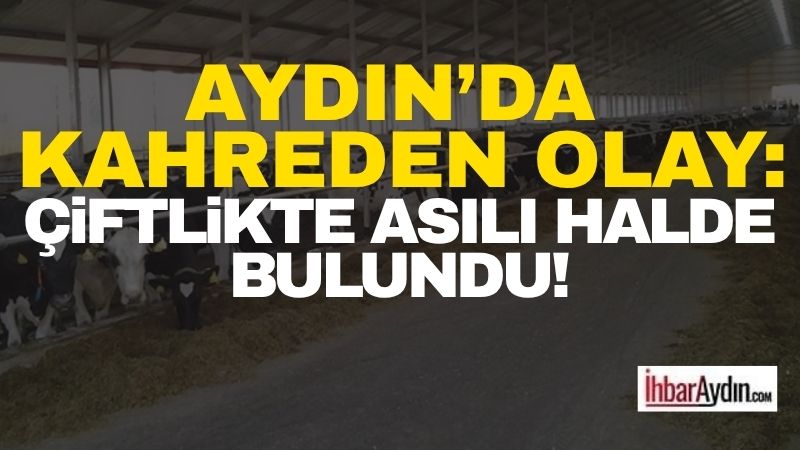 Aydın’ın Söke ilçesi güne üzüntüyle başladı. Edinilen bilgilere göre 38