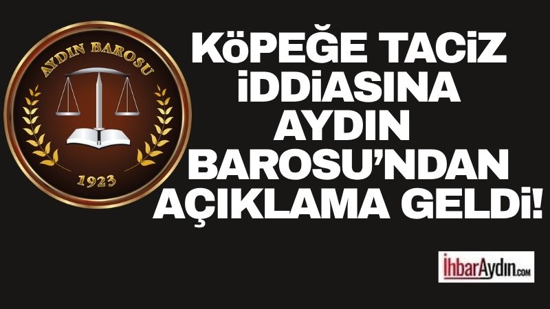 Köşk ilçesinde bir sokak köpeğine yönelik cinsel saldırı iddiasıyla gözaltına
