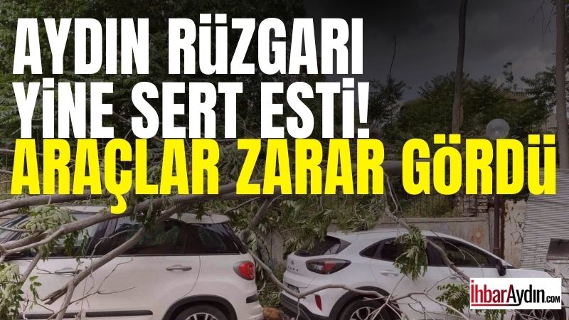 Aydın’ın Efeler ilçesinde rüzgarda devrilen araç park halindeki üç araçta