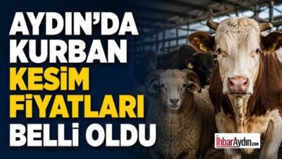 Kurban Bayramı öncesi Aydın Kasaplar ve Celepler Odası tarafından 2025