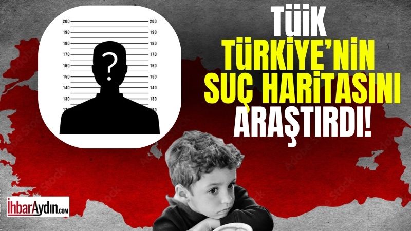 Türkiye İstatistik Kurumu (TÜİK) tarafından yayımlanan “Türkiye Suç Mağduriyeti Araştırması