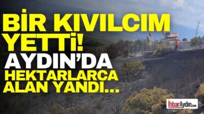 Aydın’ın Yenipazar ilçesinde çıkan yangın, makilik alanda büyük zarara neden