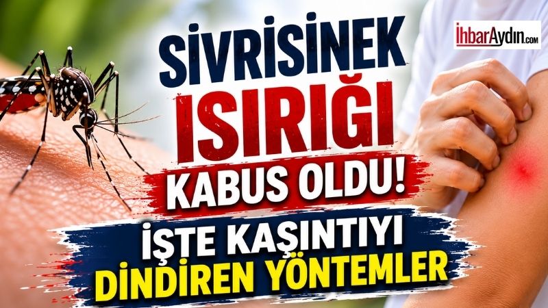 Yaz aylarında sıcaklıkların artmasıyla birlikte sivrisinekler de etkisini göstermeye başladı.