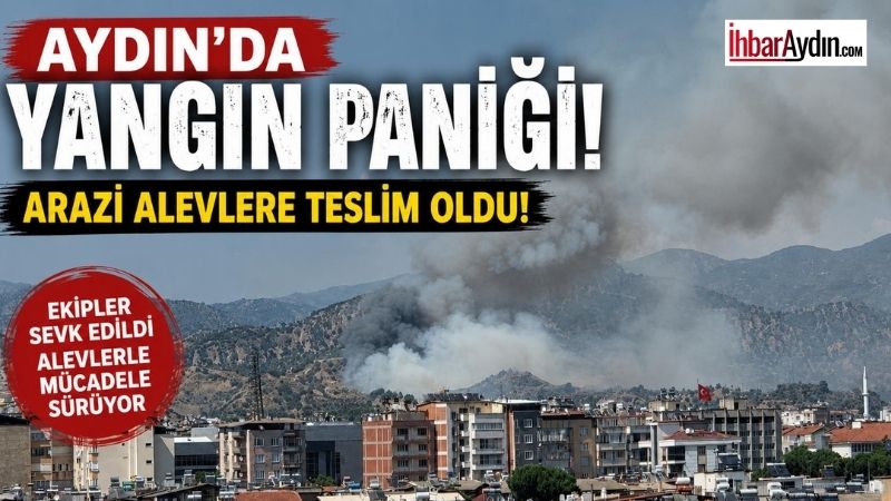 Aydın’ın Nazilli ilçesinde arazide çıkan yangın, bölgede paniğe neden oldu.