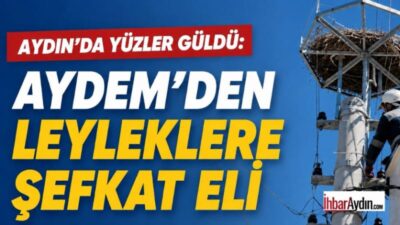 Aydın’ın Serçeköy Mahallesi’nde leyleklerin yuvasının yanmasının ardından harekete geçen ekipler,