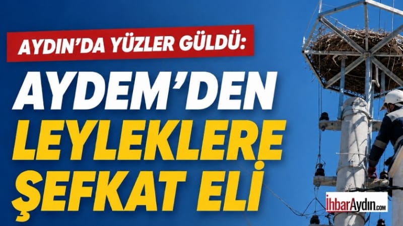 Aydın’ın Serçeköy Mahallesi’nde leyleklerin yuvasının yanmasının ardından harekete geçen ekipler,