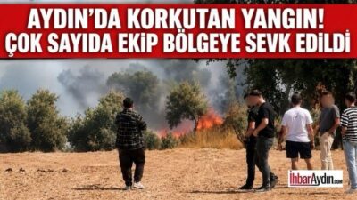 Aydın’ın Koçarlı ilçesinde bugün saat 11.00 sıralarında çıkan yangın paniğe