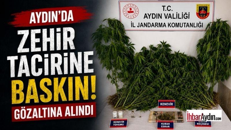 Aydın’da zehir tacirine baskın: Gözaltına alındı Aydın’ın Nazilli ilçesinde jandarma ekiplerince düzenlenen operasyonda 28 kök kenevir
