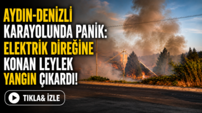 Aydın’ın Efeler ilçesine bağlı İmamköy Mahallesi’nde meydana gelen olay kısa