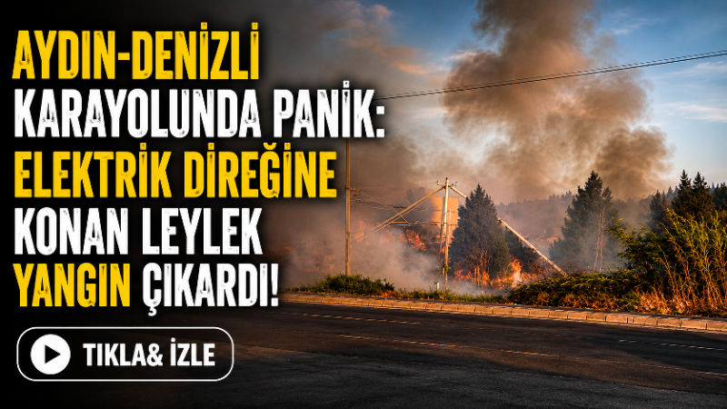 Aydın’ın Efeler ilçesine bağlı İmamköy Mahallesi’nde meydana gelen olay kısa