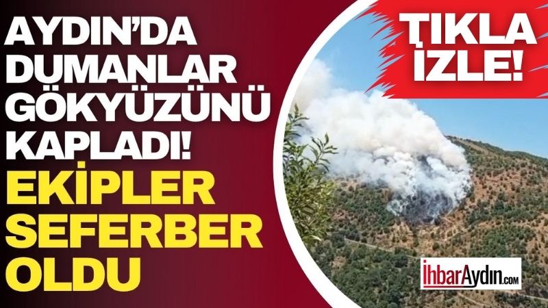 Aydın’ın Sultanhisar ilçesinde sarp arazide zirai alanda çıkan yangın ekiplerin
