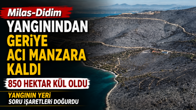 Muğla’nın Milas ilçesiyle Aydın’ın Didim ilçesi arasında dün başlayan ve