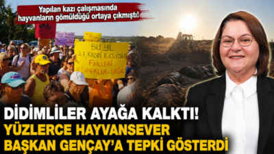 Didim Hayvanları ve Doğayı Koruma Derneği(DİHAD)’ın ve İbrahim Kaya isimli