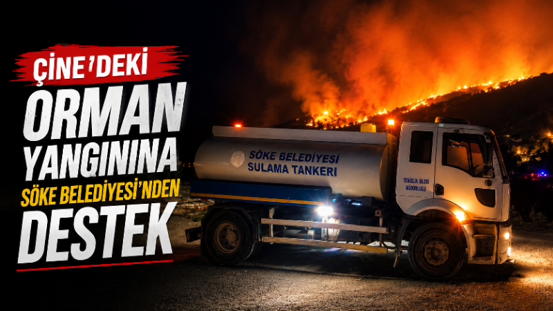 Aydın’ın Çine ilçesine bağlı Kavşit Mahallesi’nde çıkan orman yangınına müdahale