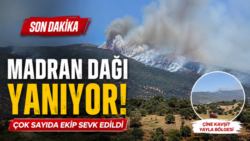 Aydın’ın Çine ilçesinde bulunan Madran Dağı’nın Kavşit bölgesinde orman yangını