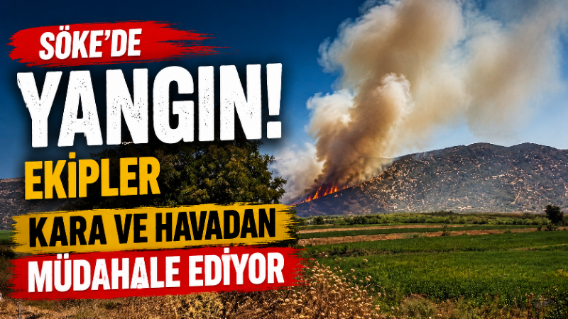 Aydın’ın Söke ilçesinde zirai alanda çıkan yangın kontrol altına alınmaya