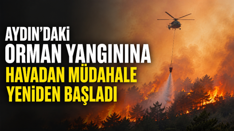 Çine ilçesinde dün çıkan orman yangını devam ederken, günün ilk