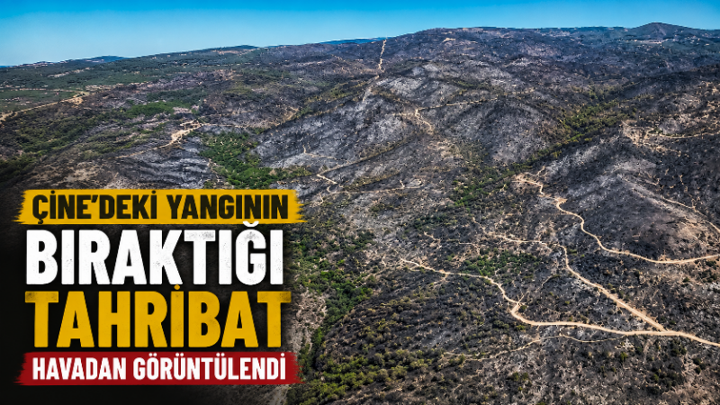 Çine ilçesinde 30 Temmuz’da başlayan ve rüzgarın etkisiyle geniş bir