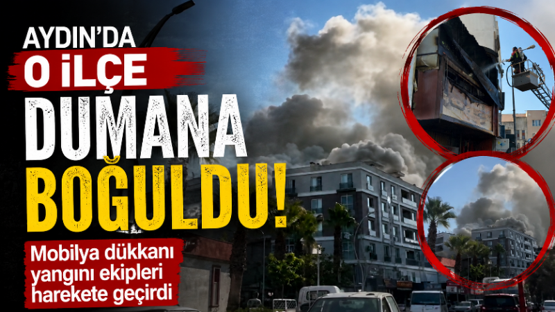Aydın’ın Germencik ilçesinde mobilya dükkanında çıkan yangın söndürüldü. Germencik ilçesinde