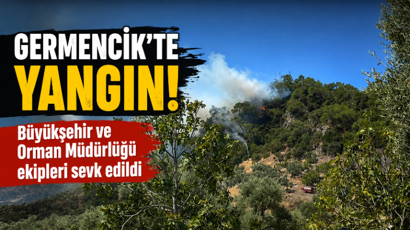 &nbsp;Germencik ilçesinde ormanlık alanda çıkan ve kara ulaşımının zor olduğu