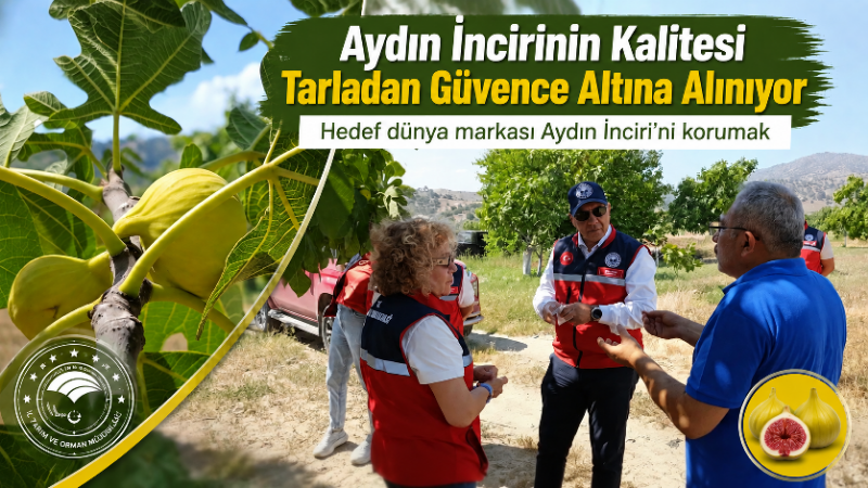 Aydın Tarım ve Orman İl Müdürlüğü, Avrupa Birliği tarafından tescilli